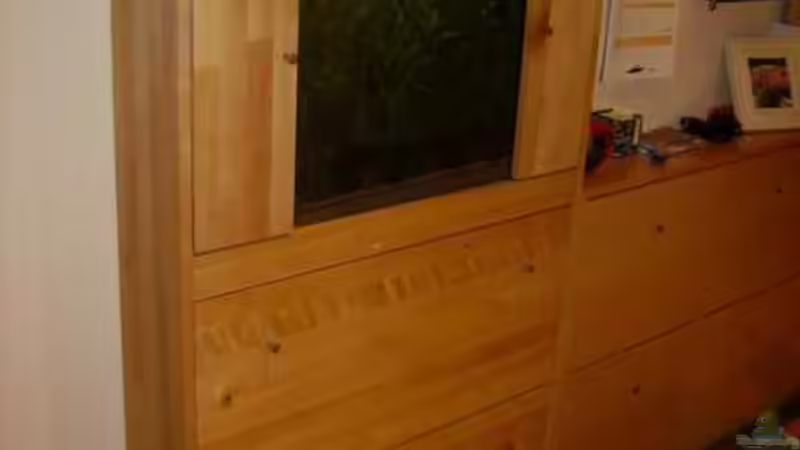 Aquarium Hauptansicht von Becken 5631 Aquarium Hauptansicht von Becken 5631