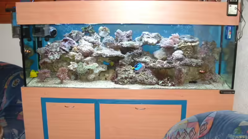 Aquarium Hauptansicht von Becken 575 Aquarium Hauptansicht von Becken 575