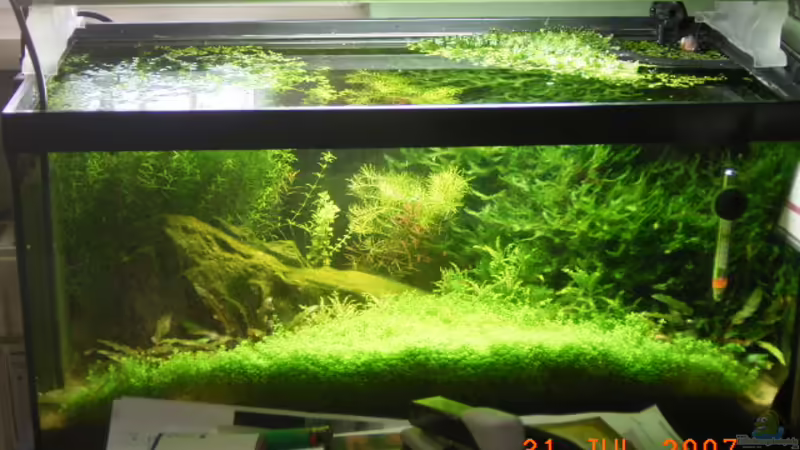 Aquarium Hauptansicht von Becken 5799 Aquarium Hauptansicht von Becken 5799