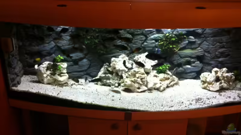 Aquarium Hauptansicht von Becken 5806 Aquarium Hauptansicht von Becken 5806