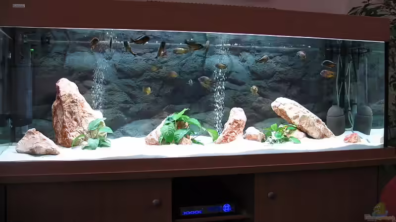 Aquarium Hauptansicht von Becken 5987 Aquarium Hauptansicht von Becken 5987