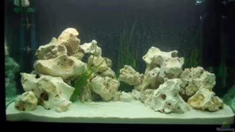 Aquarium Hauptansicht von Becken 6045 Aquarium Hauptansicht von Becken 6045