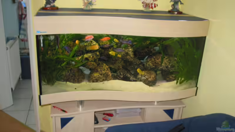 Aquarium Hauptansicht von Becken 607 Aquarium Hauptansicht von Becken 607