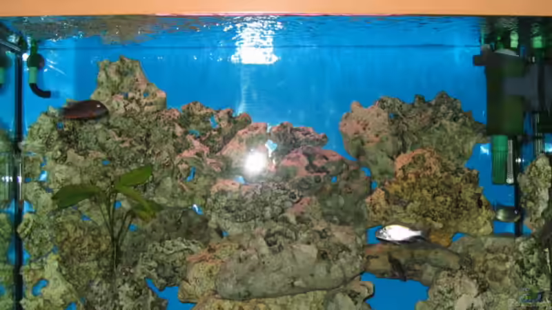 Aquarium Hauptansicht von Becken 641 Aquarium Hauptansicht von Becken 641