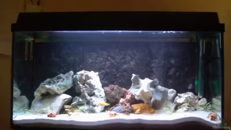 Aquarium Hauptansicht von Becken 7068 Aquarium Hauptansicht von Becken 7068