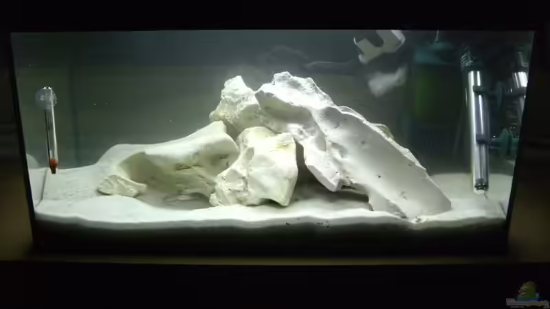 Aquarium Hauptansicht von Becken 7360 Aquarium Hauptansicht von Becken 7360