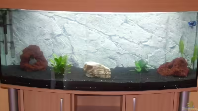 Aquarium Hauptansicht von Becken 7411 Aquarium Hauptansicht von Becken 7411