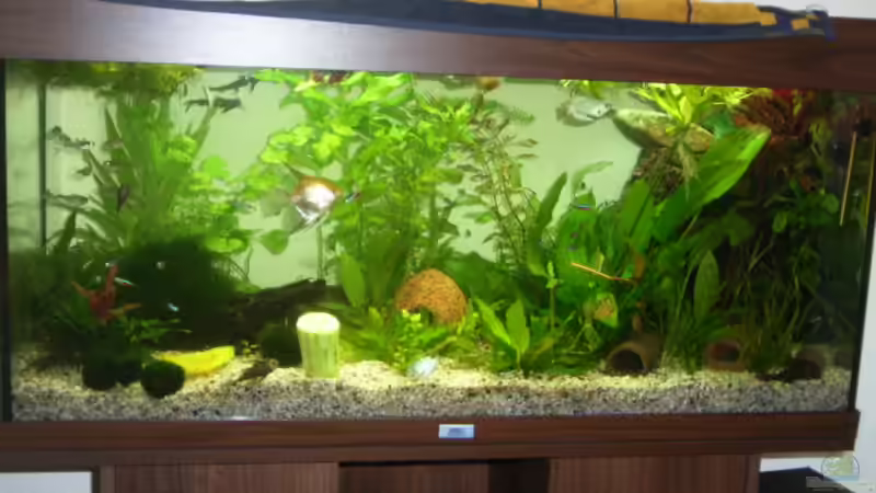 Aquarium Hauptansicht von Becken 7551 Aquarium Hauptansicht von Becken 7551