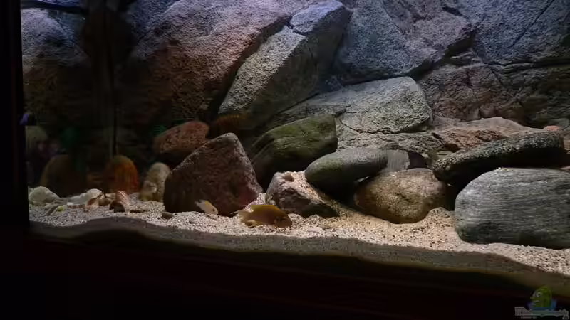 Aquarium Hauptansicht von Becken 771 Aquarium Hauptansicht von Becken 771