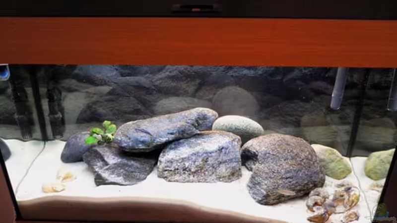 Aquarium Hauptansicht von Becken 788 Aquarium Hauptansicht von Becken 788