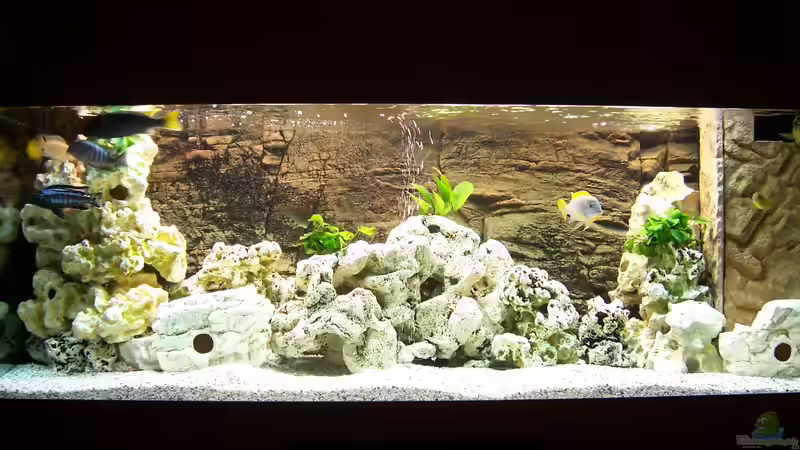 Aquarium Hauptansicht von Becken 8076 Aquarium Hauptansicht von Becken 8076