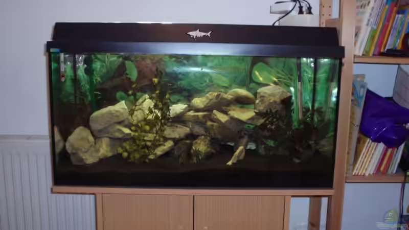 Aquarium Hauptansicht von Becken 8288 Aquarium Hauptansicht von Becken 8288