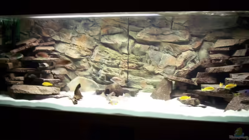 Aquarium Hauptansicht von Becken 8330 Aquarium Hauptansicht von Becken 8330