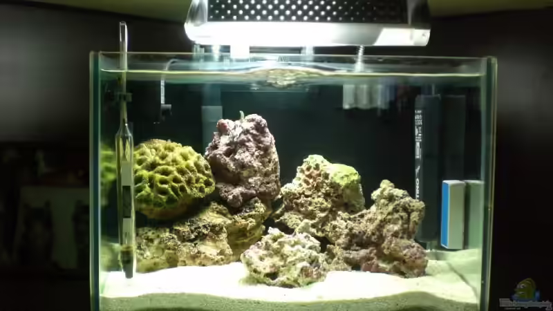 Aquarium Hauptansicht von Becken 8937 Aquarium Hauptansicht von Becken 8937