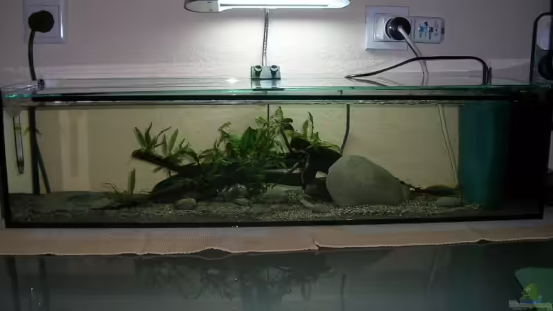 Aquarium Hauptansicht von Becken 9276 Aquarium Hauptansicht von Becken 9276