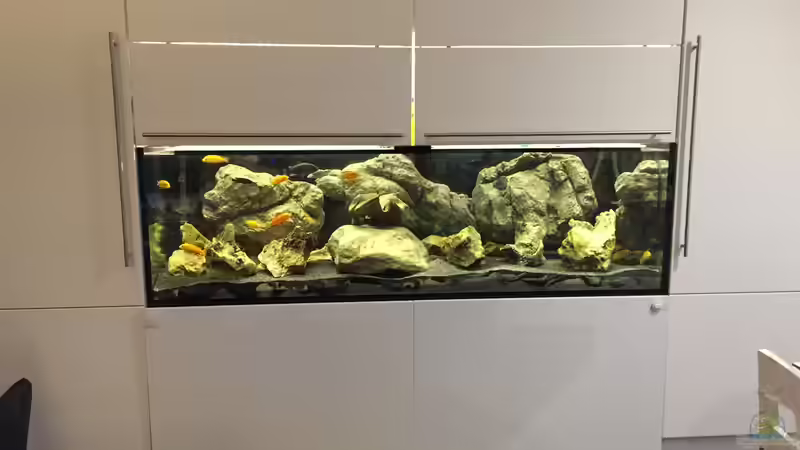 Aquarium Hauptansicht von Becken 9414 Aquarium Hauptansicht von Becken 9414