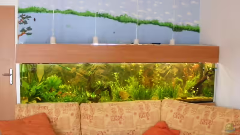 Aquarium Hauptansicht von Becken 9533 Aquarium Hauptansicht von Becken 9533