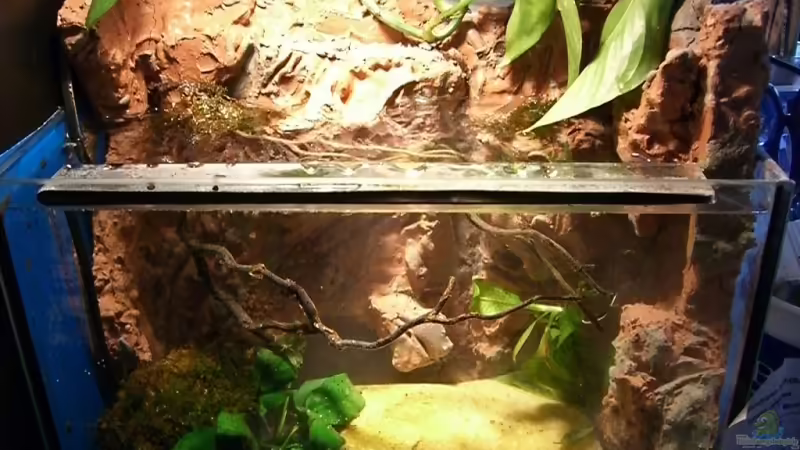 Aquarium Hauptansicht von Becken 9677 Aquarium Hauptansicht von Becken 9677