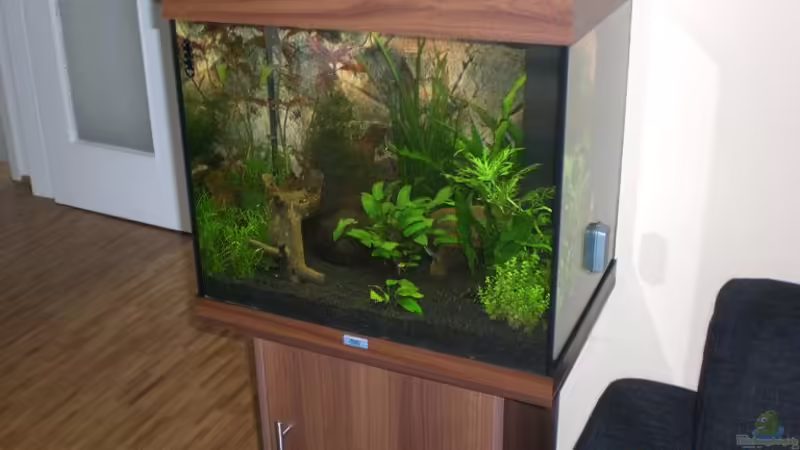 Aquarium Hauptansicht von Becken 9794 Aquarium Hauptansicht von Becken 9794