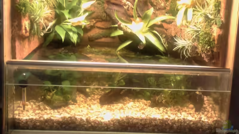 Aquarium Hauptansicht von Becken2 Aquarium Hauptansicht von Becken2