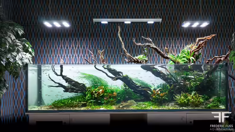 Aquarium Hauptansicht von Bent by the wind Aquarium Hauptansicht von Bent by the wind