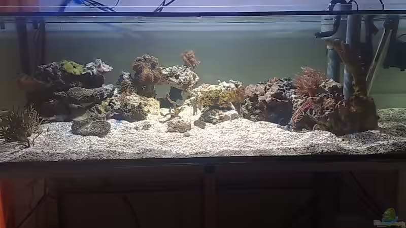 Aquarium Hauptansicht von BIKINI BOTTOM Aquarium Hauptansicht von BIKINI BOTTOM