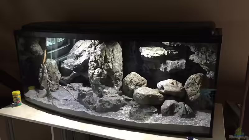 Aquarium Hauptansicht von Castle of Malawi Aquarium Hauptansicht von Castle of Malawi