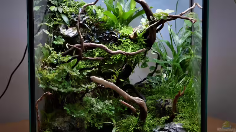 Aquarium Hauptansicht von Dettifoss Aquarium Hauptansicht von Dettifoss