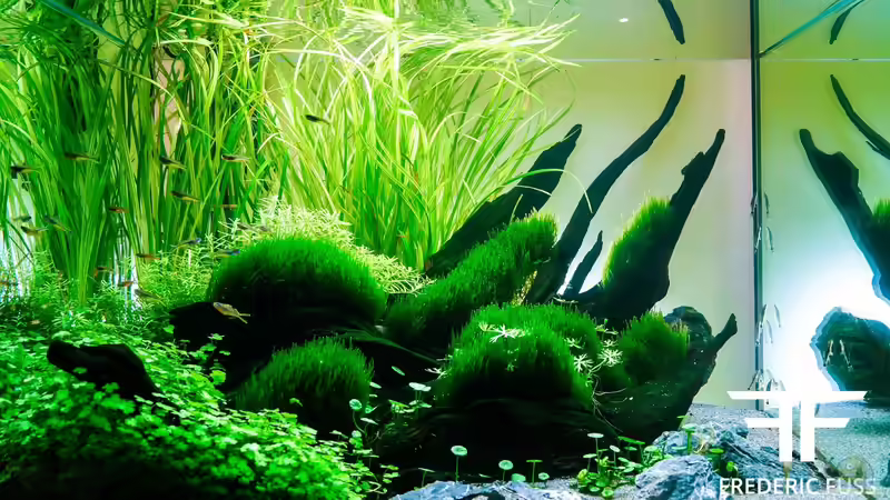 Aquarium Hauptansicht von Down under Aquarium Hauptansicht von Down under