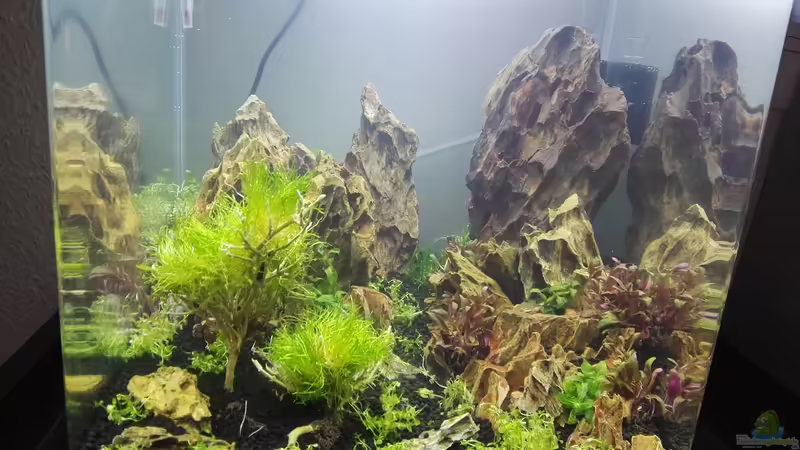 Aquarium Hauptansicht von Dragon Aquarium Hauptansicht von Dragon