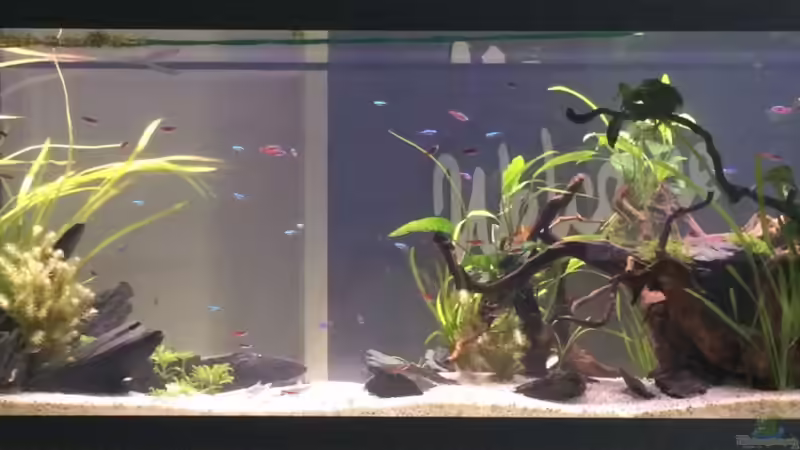 Aquarium Hauptansicht von Durchbruch Aquarium Hauptansicht von Durchbruch