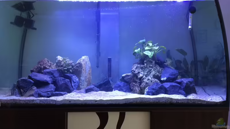 Aquarium Hauptansicht von Eheim Scubabay Malawi Aquarium Hauptansicht von Eheim Scubabay Malawi