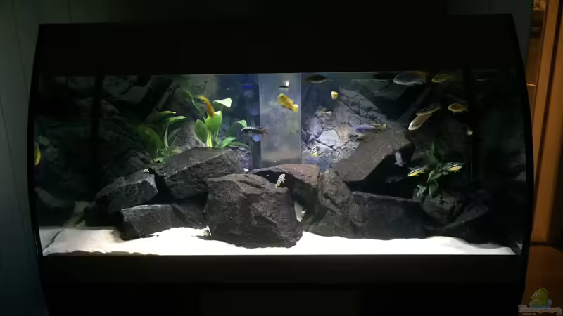 Aquarium Hauptansicht von Eheim Scubabay Aquarium Hauptansicht von Eheim Scubabay