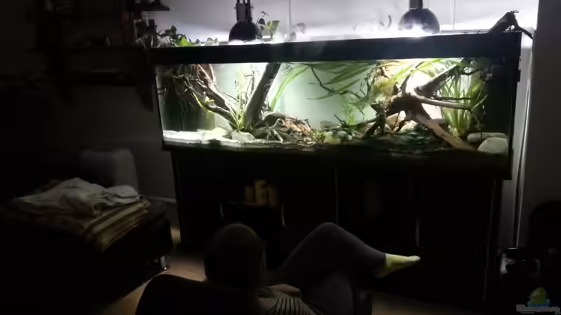 Aquarium Hauptansicht von erstes Südamerika Aquarium Aquarium Hauptansicht von erstes Südamerika Aquarium