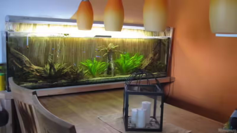 Aquarium Hauptansicht von Esstischbecken Aquarium Hauptansicht von Esstischbecken