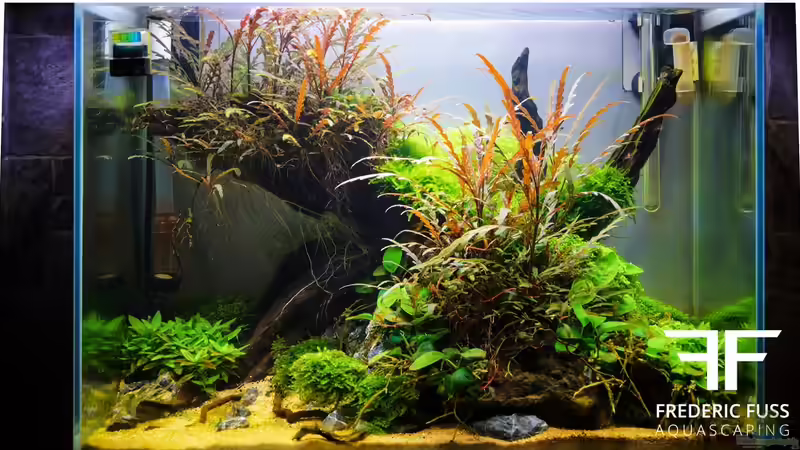 Aquarium Hauptansicht von Falke Aquarium Hauptansicht von Falke