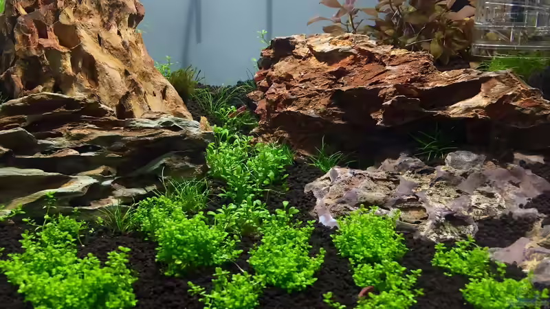 Aquarium Hauptansicht von Felsschlucht Aquarium Hauptansicht von Felsschlucht