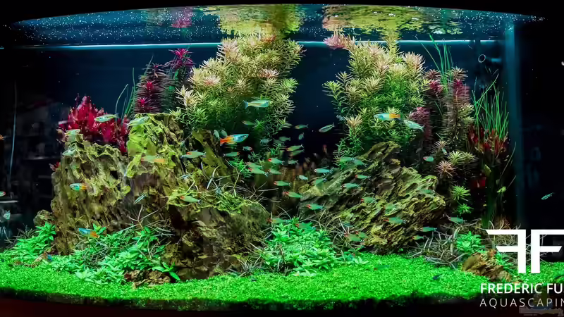 Aquarium Hauptansicht von Graffiti Aquarium Hauptansicht von Graffiti