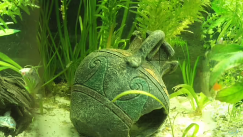 Aquarium Hauptansicht von GreenWorld Aquarium Hauptansicht von GreenWorld