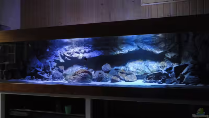 Aquarium Hauptansicht von Guido´s Kaiserpalast Aquarium Hauptansicht von Guido´s Kaiserpalast