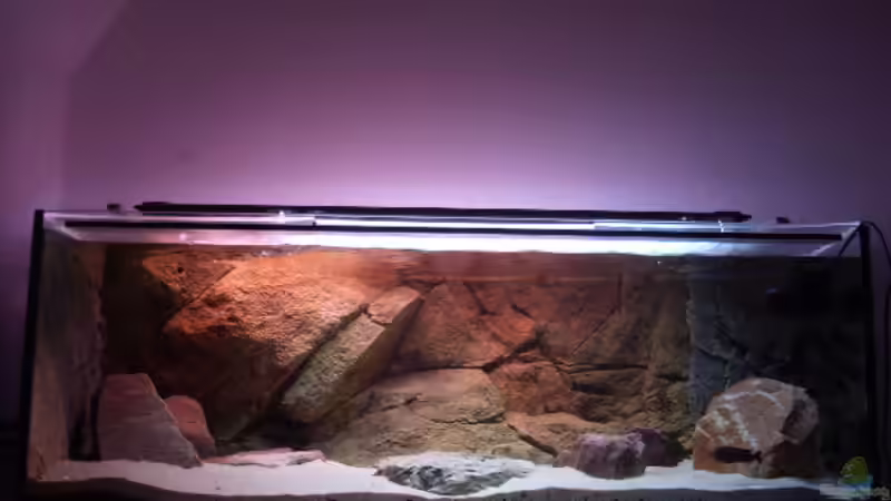 Aquarium Hauptansicht von Herzinfarktrisikosenker II Aquarium Hauptansicht von Herzinfarktrisikosenker II