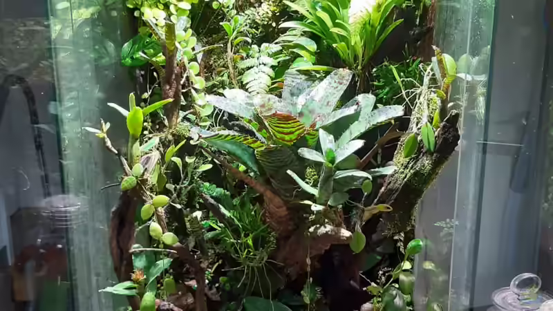 Aquarium Hauptansicht von Hightower Aquarium Hauptansicht von Hightower