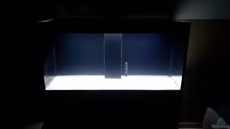 Aquarium Hauptansicht von Incpiria 400 Diskus Aquarium Hauptansicht von Incpiria 400 Diskus