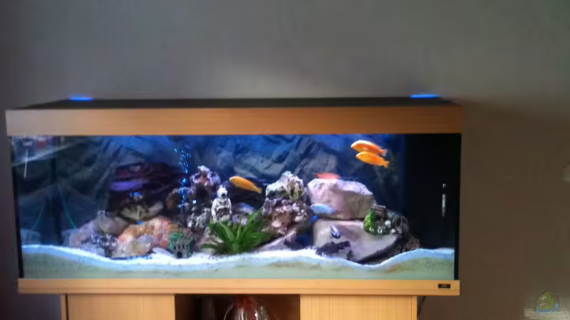 Aquarium Hauptansicht von Juwel 450L Aquarium Hauptansicht von Juwel 450L