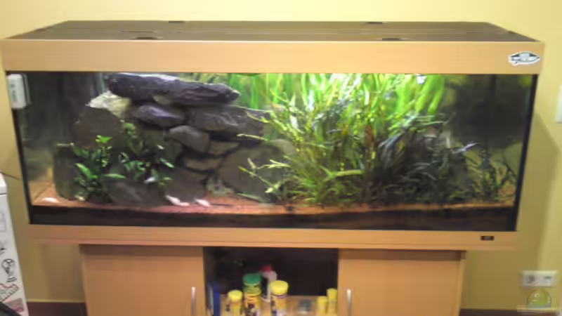 Aquarium Hauptansicht von Juwel Rio 400 Aquarium Hauptansicht von Juwel Rio 400