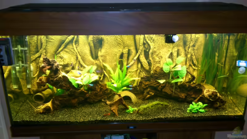 Aquarium Hauptansicht von juwel rio Aquarium Hauptansicht von juwel rio