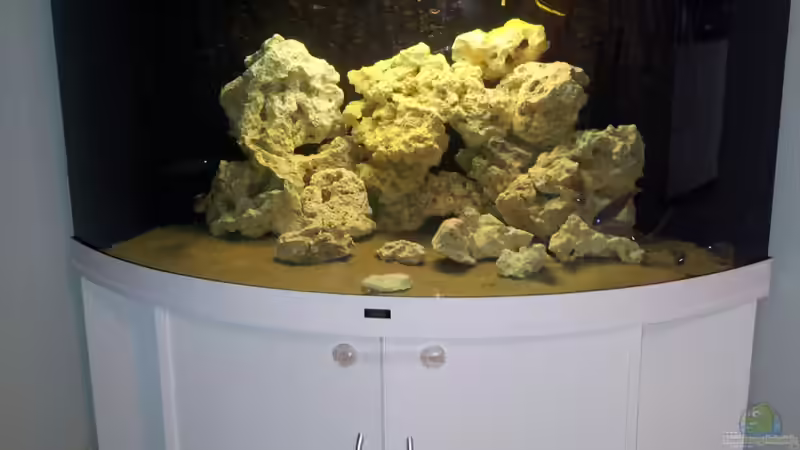 Aquarium Hauptansicht von Juwel Trigon 350 Eck Aq Aquarium Hauptansicht von Juwel Trigon 350 Eck Aq