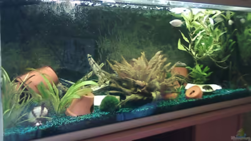 Aquarium Hauptansicht von Juwel Aquarium Hauptansicht von Juwel