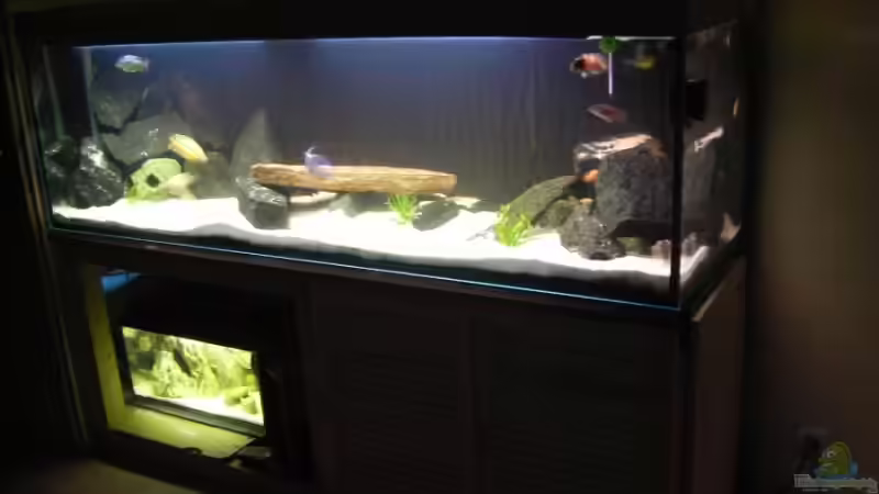 Aquarium Hauptansicht von Kaiser Biotop Aquarium Hauptansicht von Kaiser Biotop