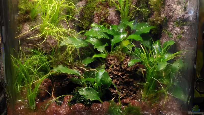 Aquarium Hauptansicht von Kleine Welt Aquarium Hauptansicht von Kleine Welt